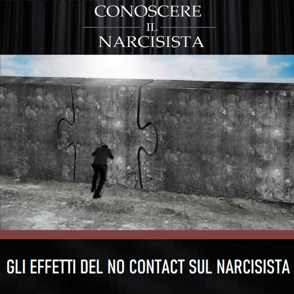 GLI EFFETTI DEL NO CONTACT SUL NARCISISTA