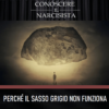 PERCHÉ IL SASSO GRIGIO NON FUNZIONA